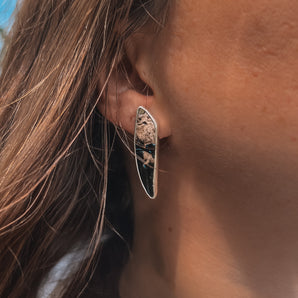 Fossilized Palm Root Studs