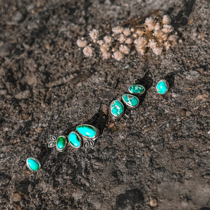 SONORAN GOLD EAR CLIMBER