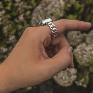 FLUTTERING CURB CHAIN RING
