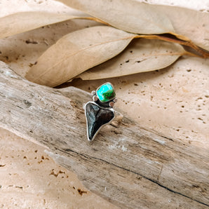 Shark Tooth Turquoise Ring