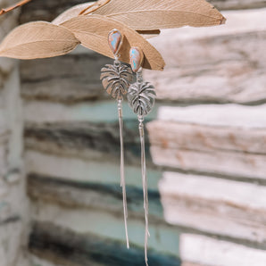 Monstera Dangles 1