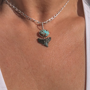 Shark Tooth and Number 8 Turquoise Pendant