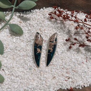 Fossilized Palm Root Studs