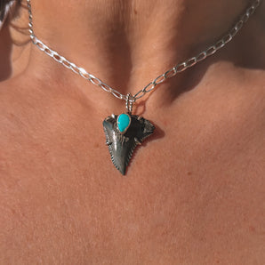 Shark Tooth and Sonoran Turquoise Pendant