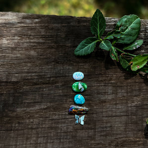BUTTERFLY TRAIL no.2
