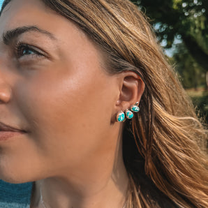 WHITEWATER EAR CLIMBER