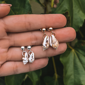 MINI CONCH SHELL STUDS