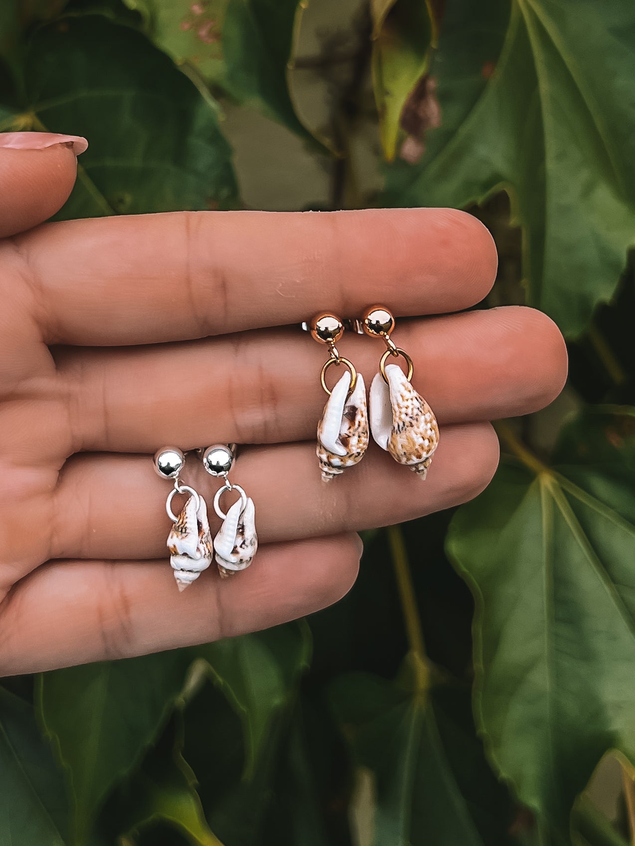 MINI CONCH SHELL STUDS – Metal Maiden Jewelry