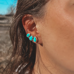 EAR CLIMBER no.3