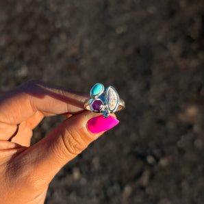 Cluster Constellation Ring 2