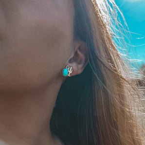 DESERT NIGHT STUDS