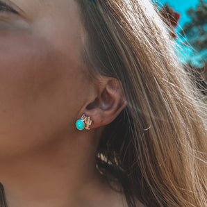 DESERT NIGHT STUDS